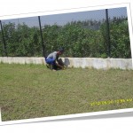 Net Alger la Blanche Jardinage